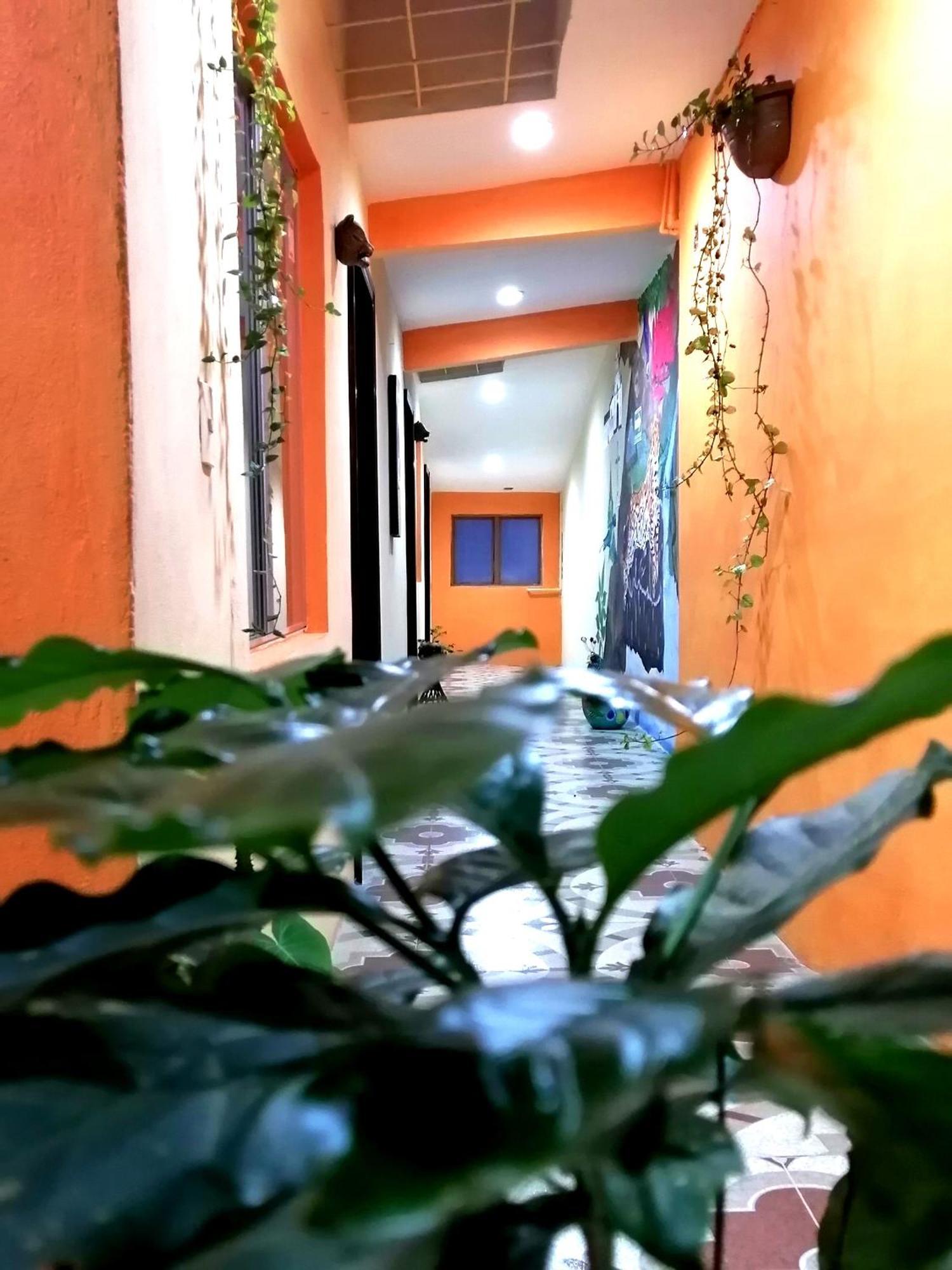 Hotel Amayal San Cristobal de las Casas Ngoại thất bức ảnh