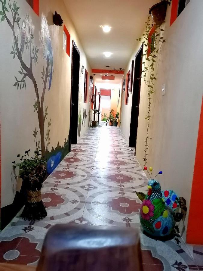 Hotel Amayal San Cristobal de las Casas Ngoại thất bức ảnh