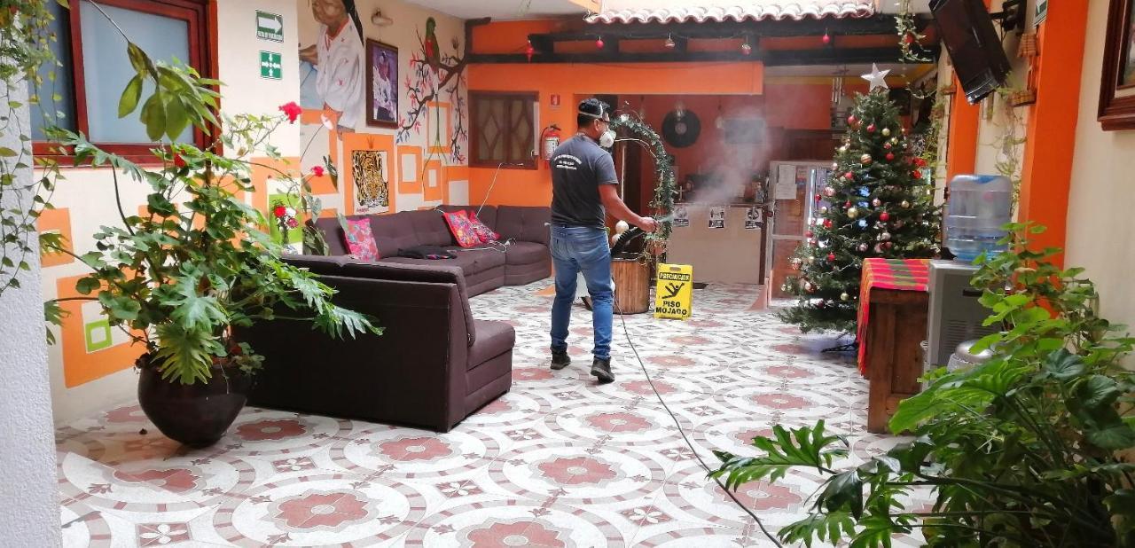 Hotel Amayal San Cristobal de las Casas Ngoại thất bức ảnh