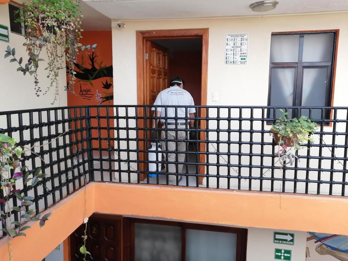 Hotel Amayal San Cristobal de las Casas Ngoại thất bức ảnh