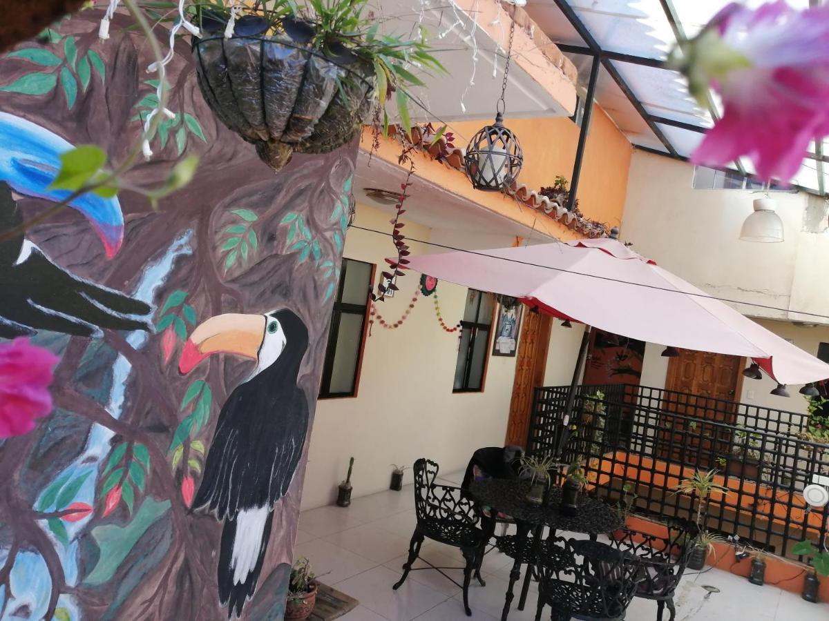 Hotel Amayal San Cristobal de las Casas Ngoại thất bức ảnh
