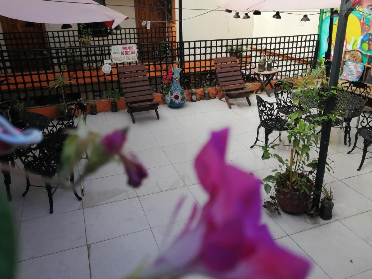 Hotel Amayal San Cristobal de las Casas Ngoại thất bức ảnh