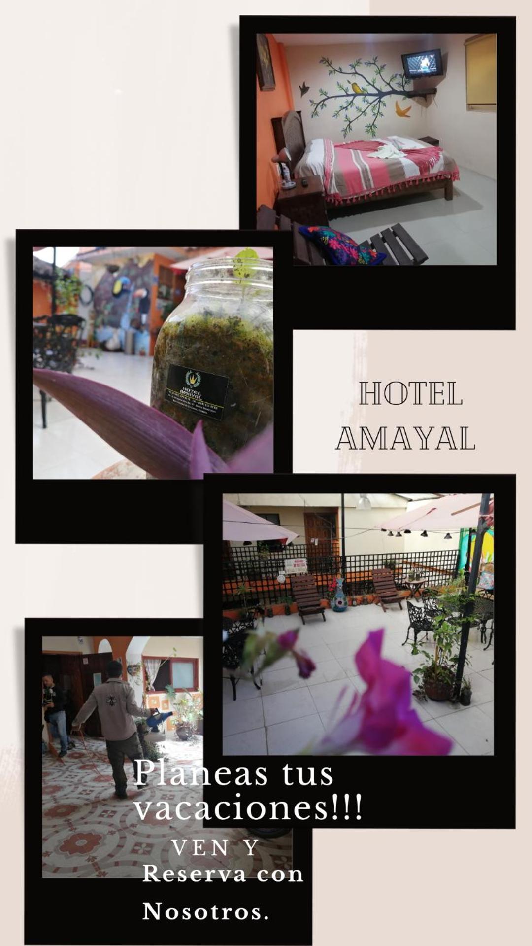 Hotel Amayal San Cristobal de las Casas Ngoại thất bức ảnh